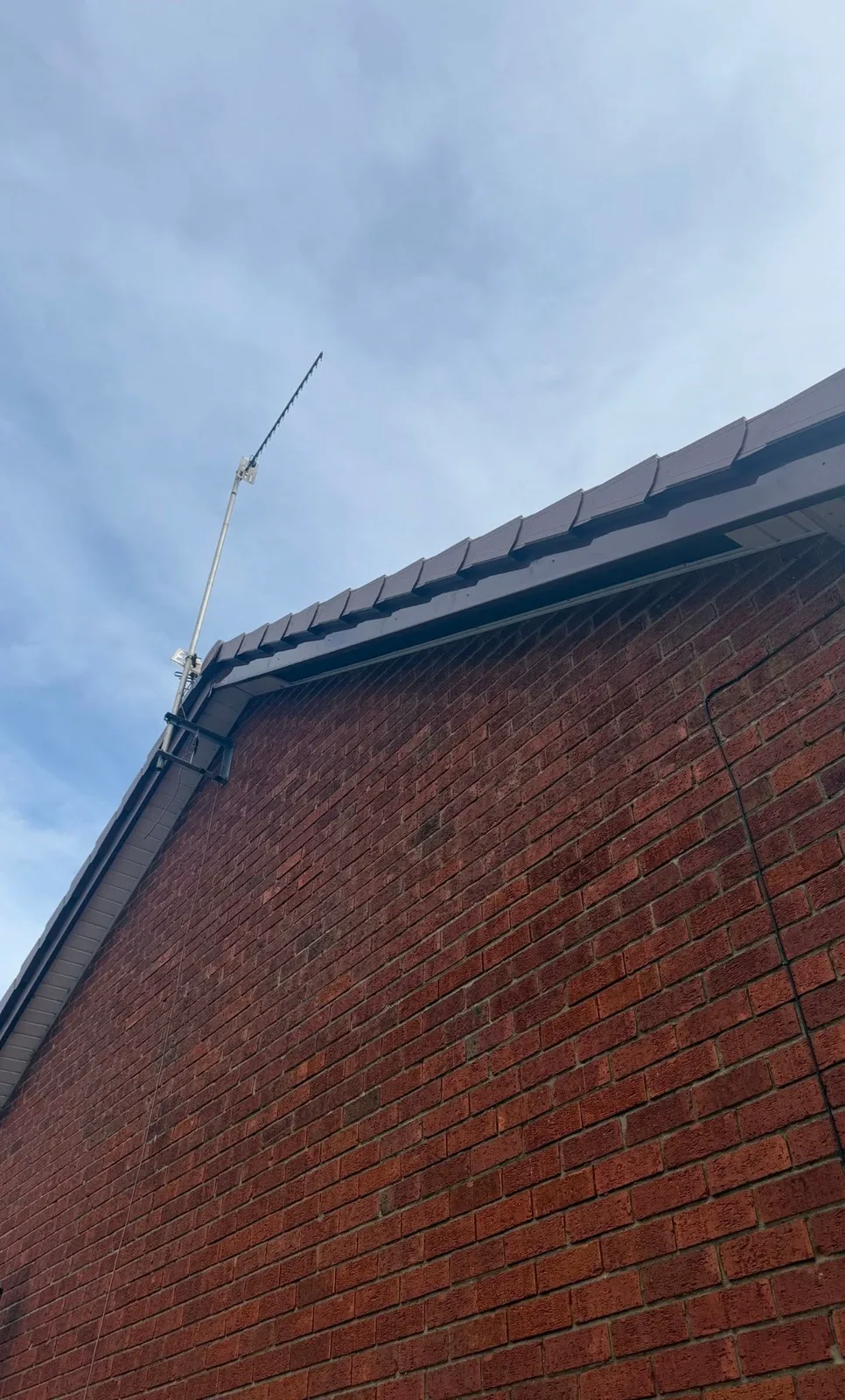 Brown fascia and dry verge