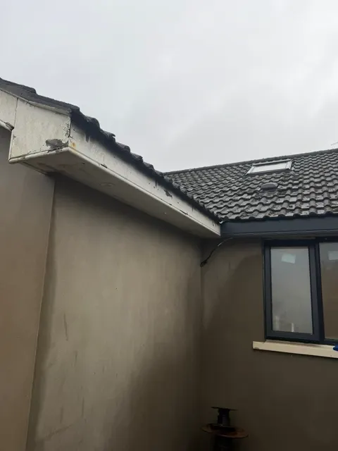 Fascia and guttering in Ballynahinch, photograph 2