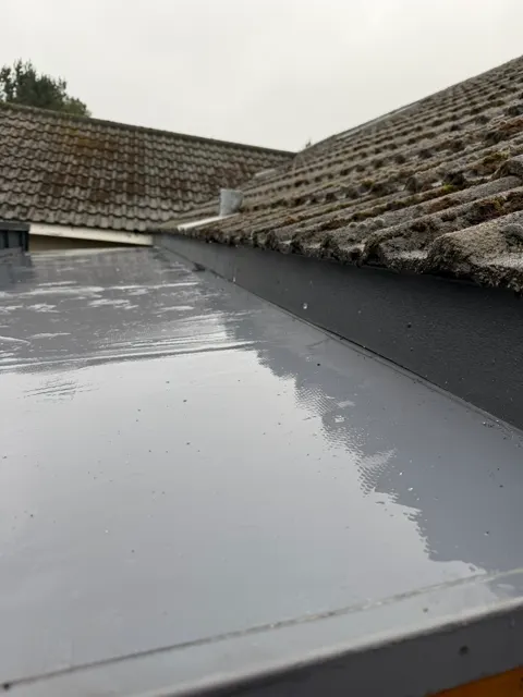 Fascia and guttering in Ballynahinch, photograph 4
