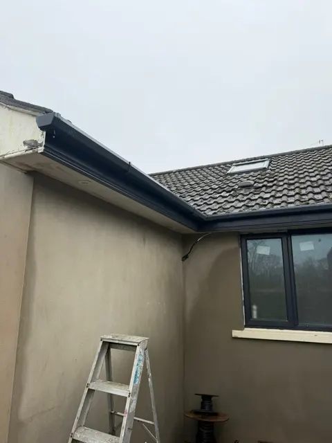 Fascia and guttering in Ballynahinch, photograph 5