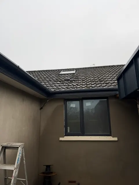 Fascia and guttering in Ballynahinch, photograph 10