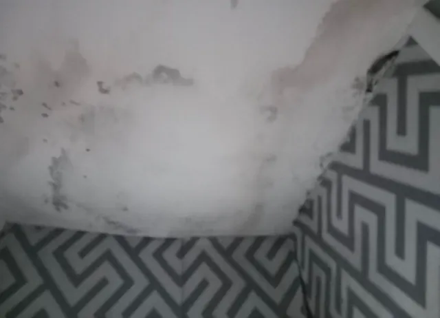Ceiling plastering, photograph 2