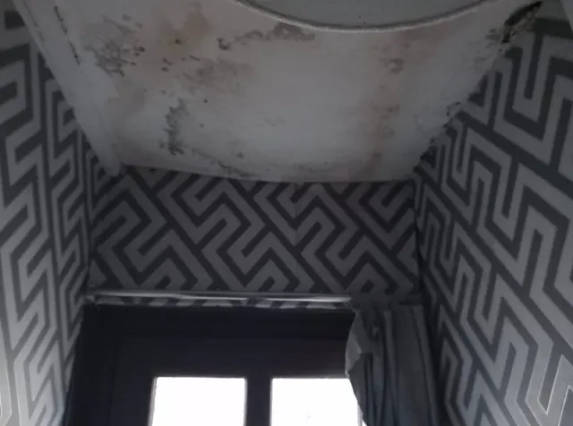 Ceiling plastering, photograph 4