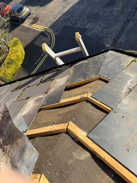 Roof leak and ceiling repair, photograph 4