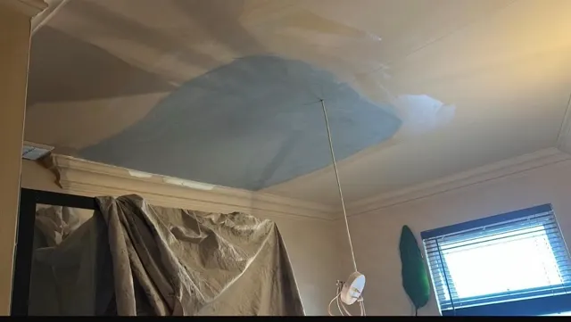 Roof leak and ceiling repair, photograph 5