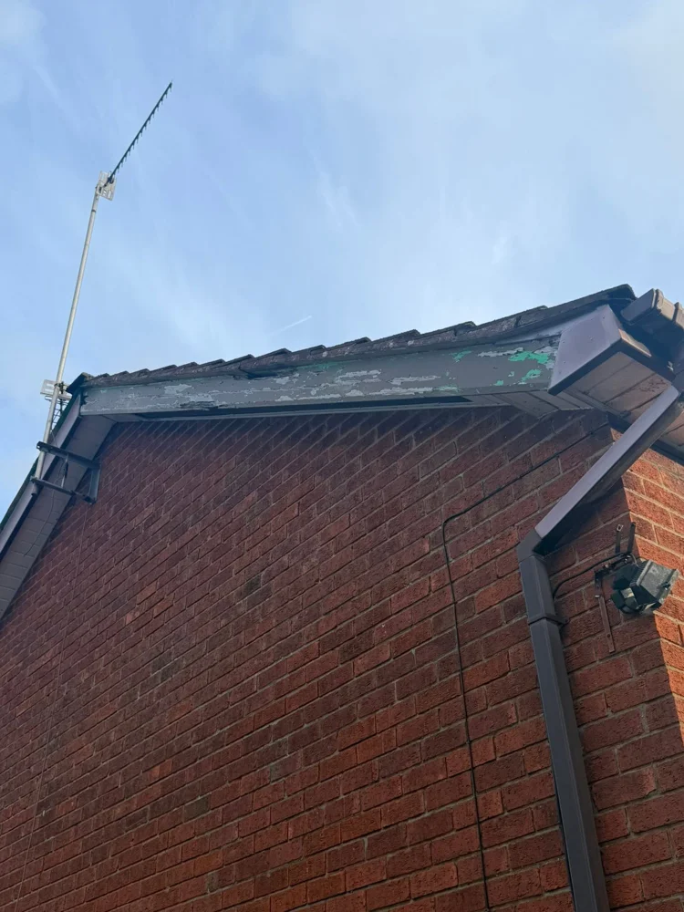 Brown fascia and dry verge