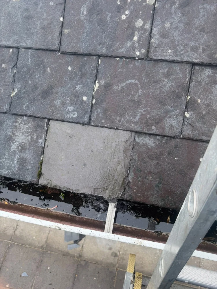 Slate repairs and gutter maintenance